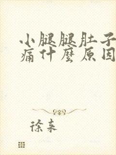 小腿腿肚子酸胀痛什么原因引起的