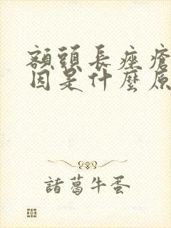 额头长痤疮的原因是什么原因