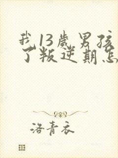 我13岁男孩到了叛逆期怎么教封面