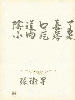 阴道口长了一个小肉疙瘩是怎么回事封面