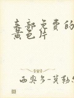 来部免费的一级黄色片