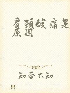 肩颈酸痛是什么原因