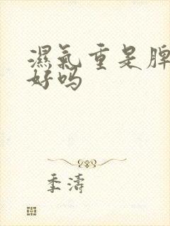 湿气重是脾胃不好吗