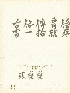 右胳膊肩膀关节处一抬就疼