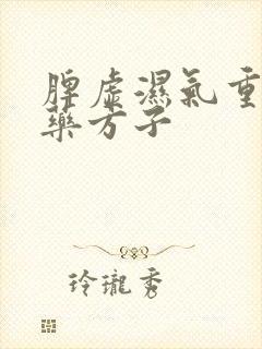 脾虚湿气重的中药方子