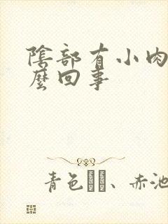 阴部有小肉刺怎么回事封面