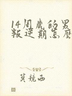 14周岁的男孩叛逆期怎么办