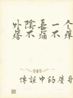 外阴长一个硬疙瘩不痛不痒封面