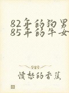 82年的狗男和85年的牛女婚配