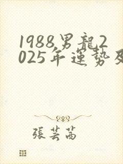 1988男龙2025年运势及运程