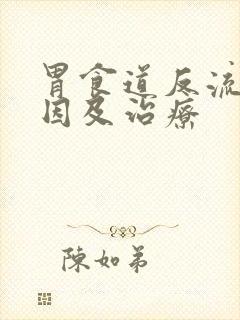 胃食道反流的病因及治疗封面