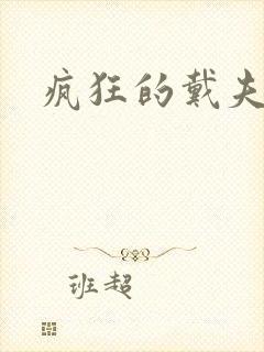 疯狂的戴夫封面