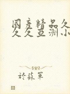 国产精品久久久久久亚洲小说封面