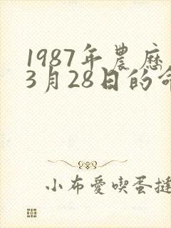 1987年农历3月28日的命