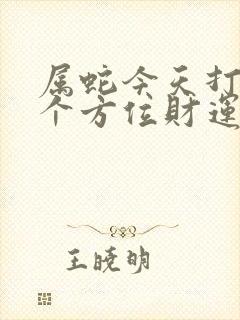 属蛇今天打牌哪个方位财运好呢?