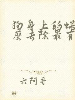 狗身上的螨虫怎么去除最有效方法