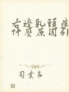 右边乳头痒痒是什么原因引起的