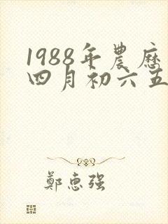 1988年农历四月初六五行属什么