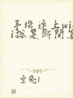 手机连上wifi总是断开怎么回事