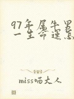 97年属牛男的一生命运怎么样