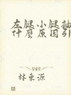 左腿小腿抽筋是什么原因引起的