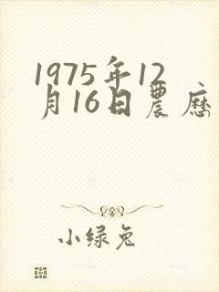 1975年12月16日农历命运