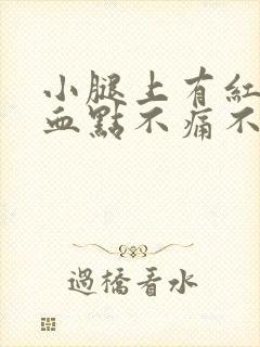 小腿上有红点像血点不痛不痒