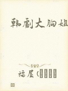 韩剧大胸姐妹封面