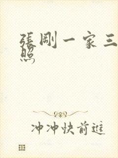 张刚一家三口近照