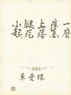 小腿上痒一挠就起疙瘩怎么回事封面