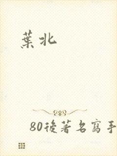 叶北封面