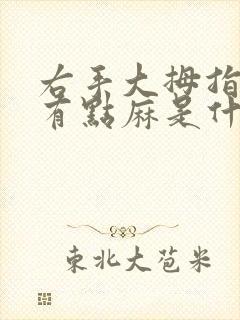 右手大拇指指尖有点麻是什么病