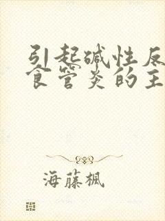 引起碱性反流性食管炎的主要原因