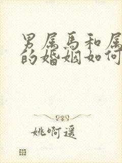 男属马和属龙女的婚姻如何封面