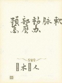 颈部动脉软斑块怎么办