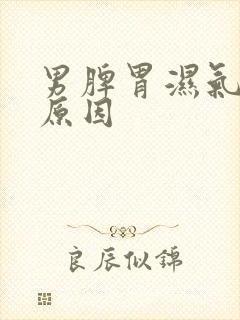 男脾胃湿气重的原因