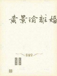 黄景瑜离婚原因