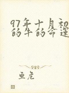 97年十月初八的牛的命运