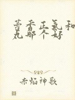 藿香正气和保济丸哪个好