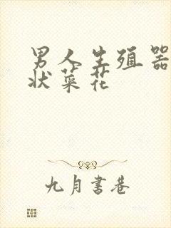 男人生殖器乳头状菜花