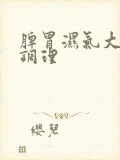 脾胃湿气大如何调理