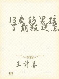 13岁的男孩到了期叛逆怎么教