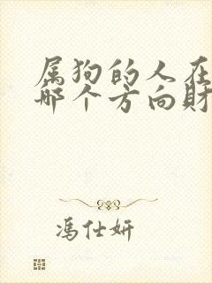 属狗的人在今年哪个方向财运好