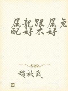 属龙跟属兔的婚配好不好封面