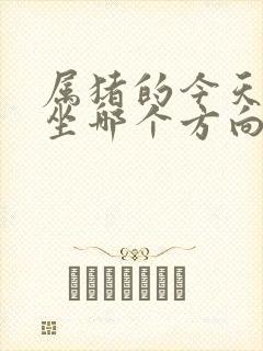 属猪的今天打牌坐哪个方向