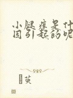 小腿痒是什么原因引起的呢