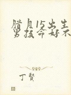 腊月15出生的男孩命好不好