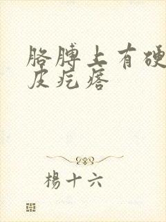 胳膊上有硬的鸡皮疙瘩封面