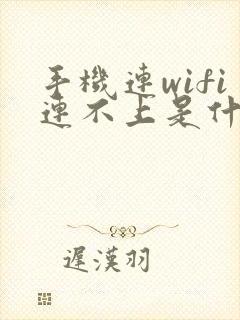 手机连wifi连不上是什么原因