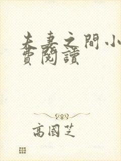 夫妻之间小说免费阅读